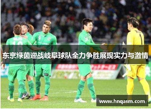 东京绿茵迎战岐阜球队全力争胜展现实力与激情